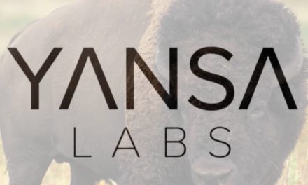 My new ServiceNow Adventure: Yansa Labs